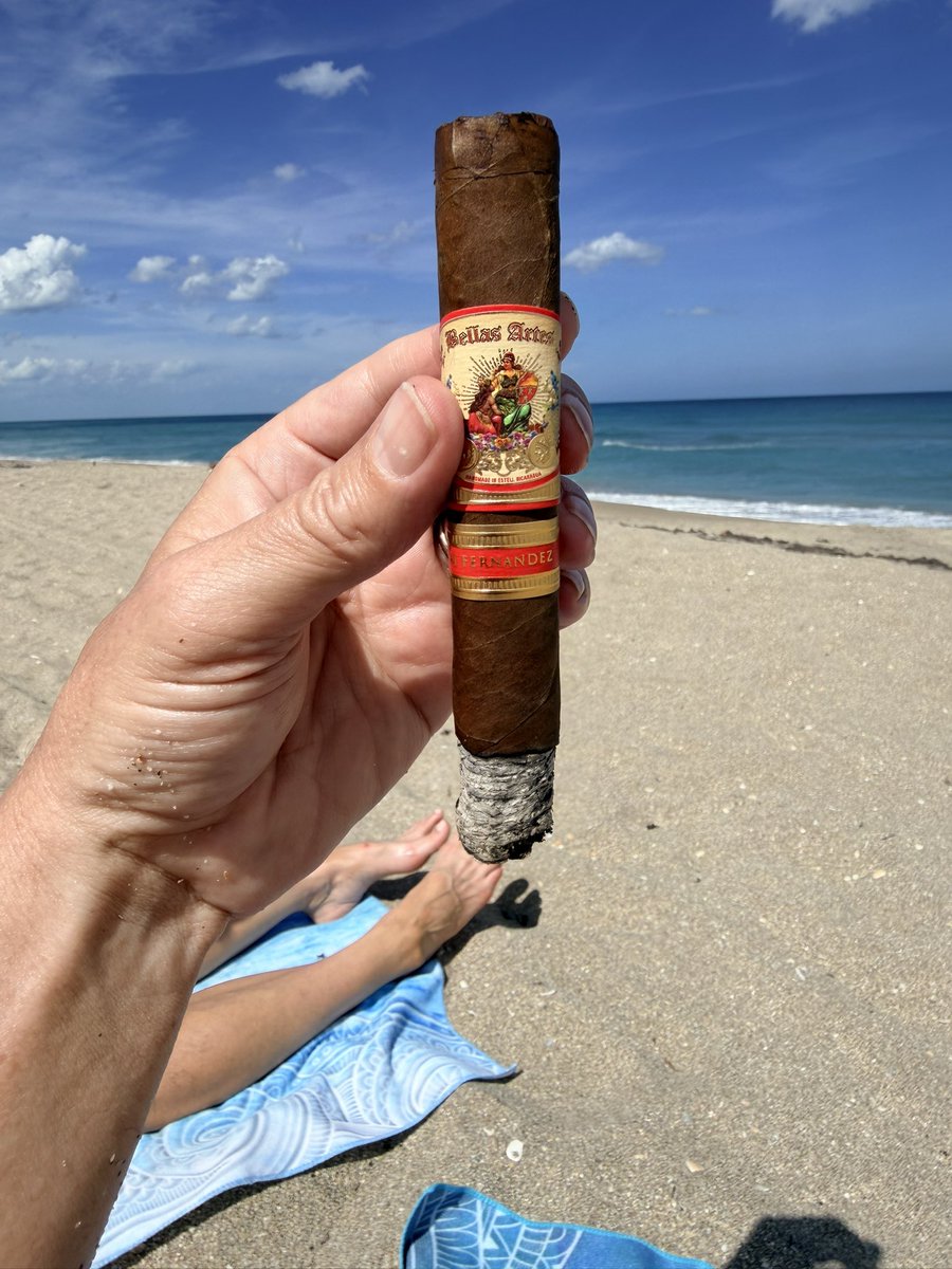 Mister E tweet media