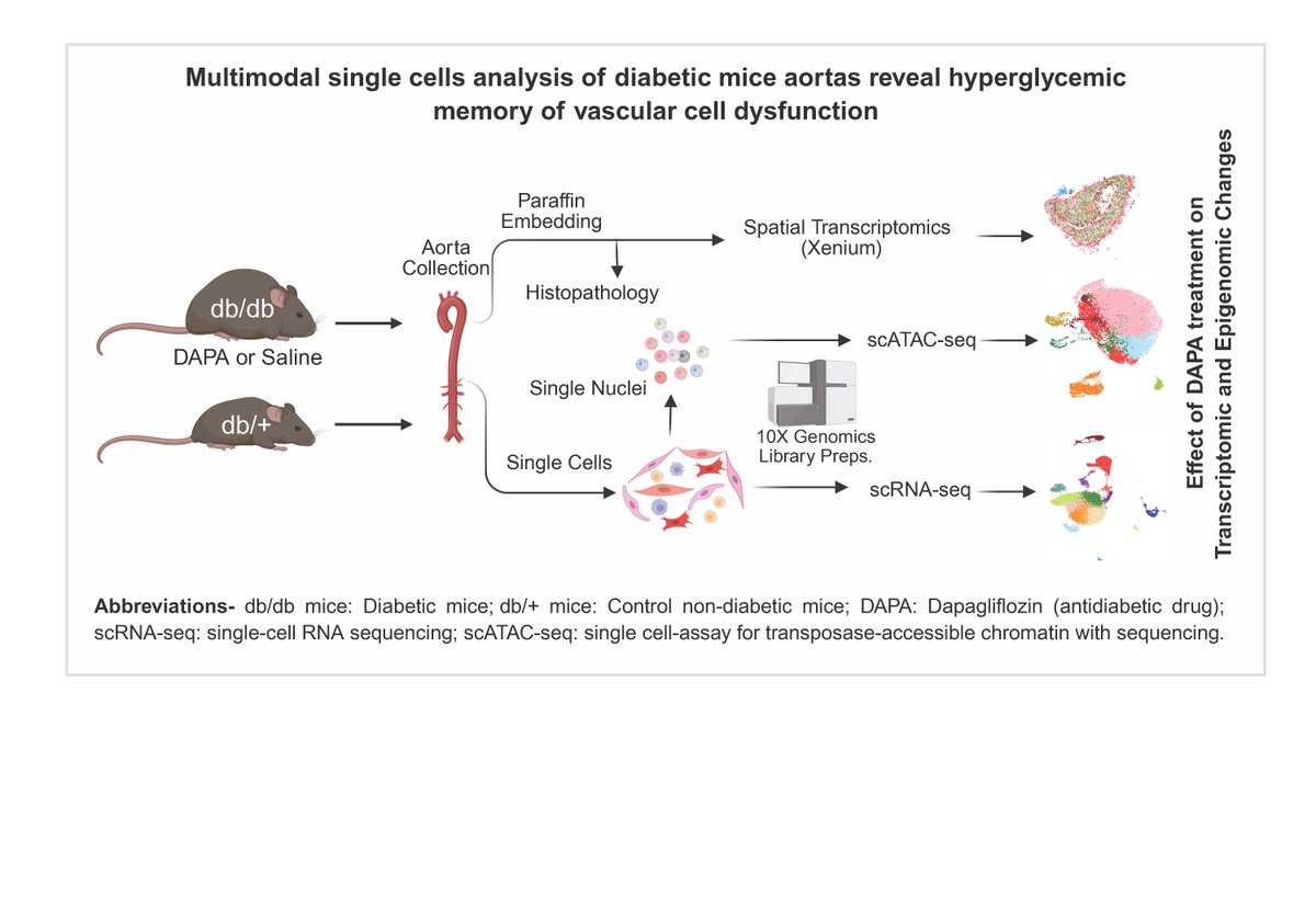 ATVB: An AHA Journal tweet media