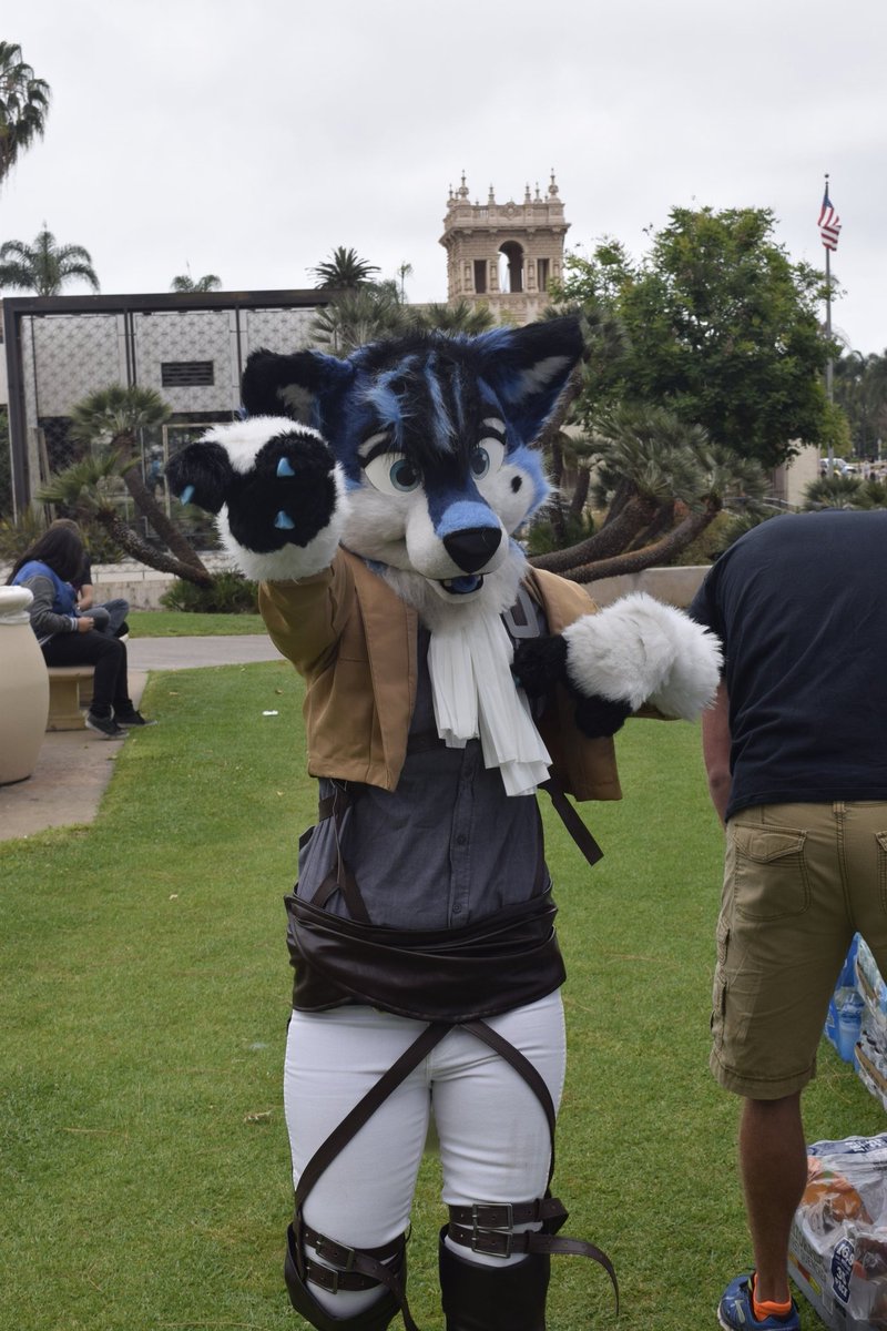 Atchi Train Wolf tweet media