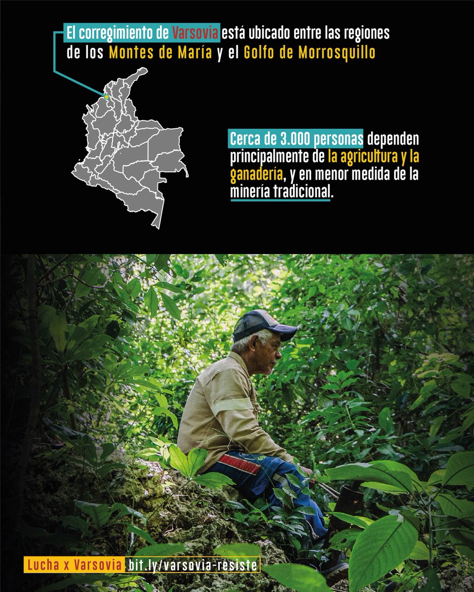 Human Conet tweet media