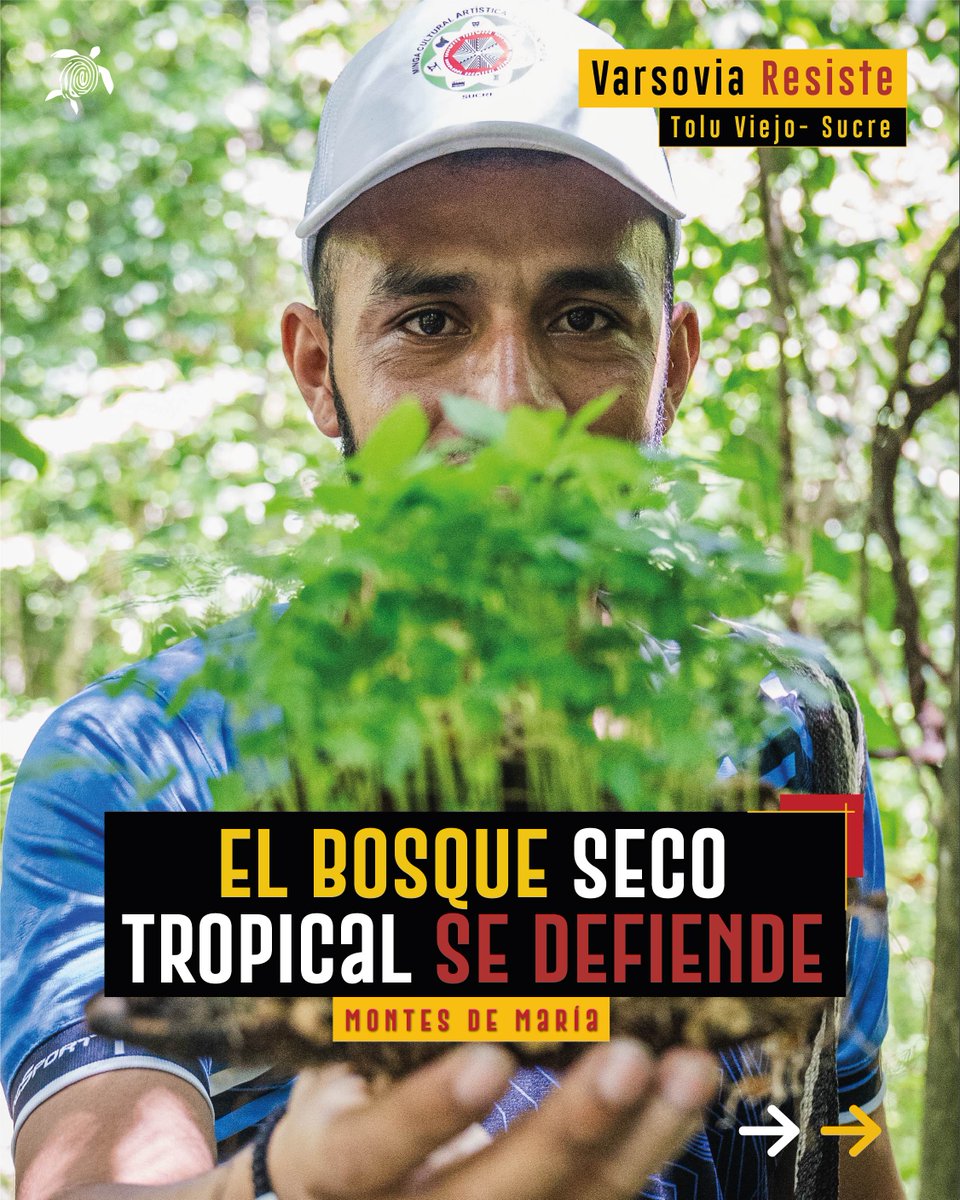 Human Conet tweet media