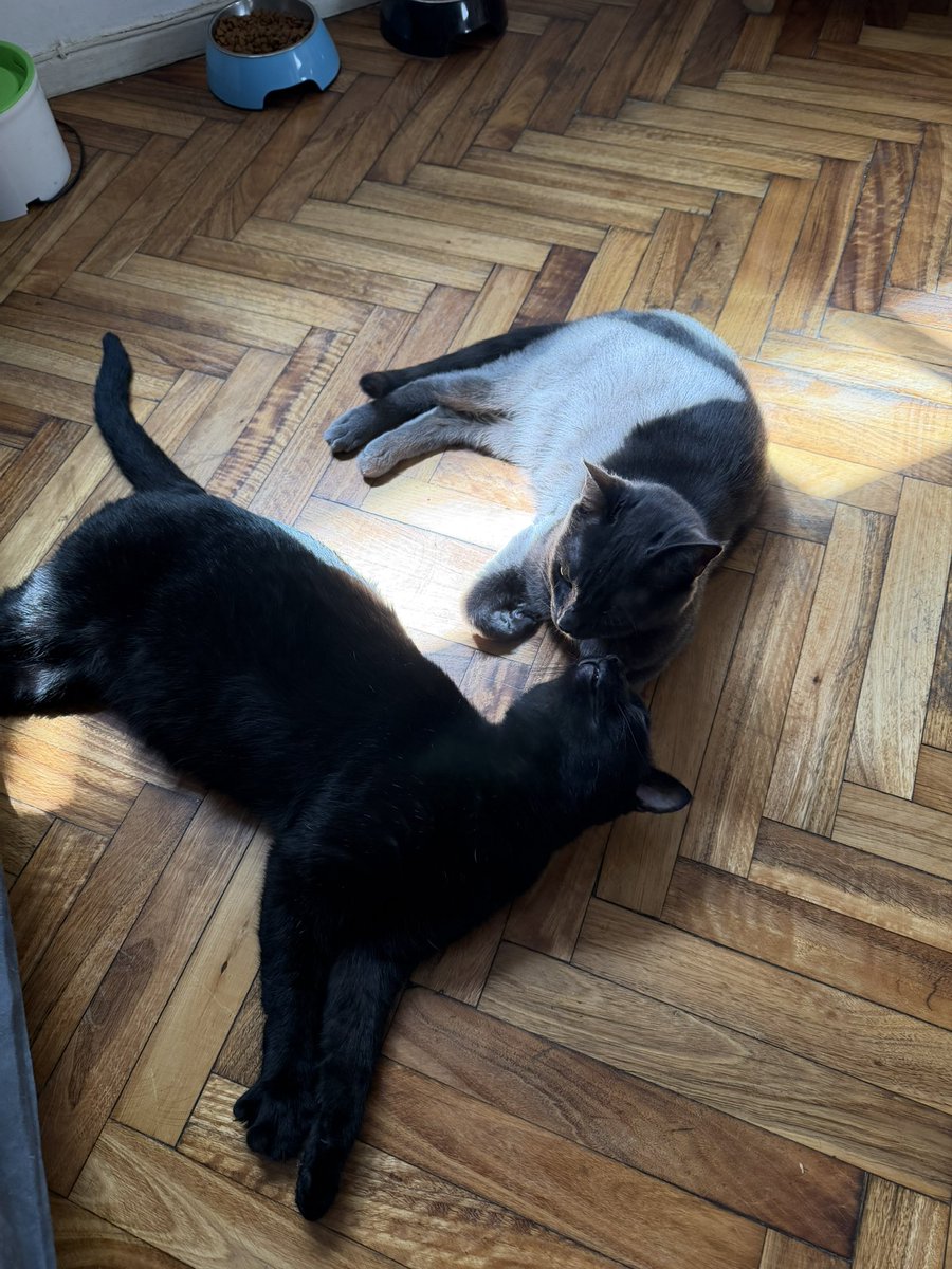 _dktv's tweet image. Los hermanitos❤️‍🩹