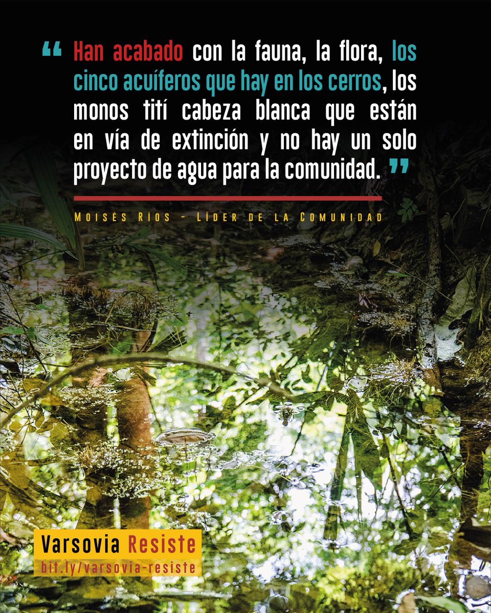 Human Conet tweet media