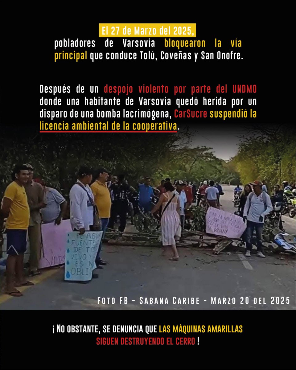 Human Conet tweet media