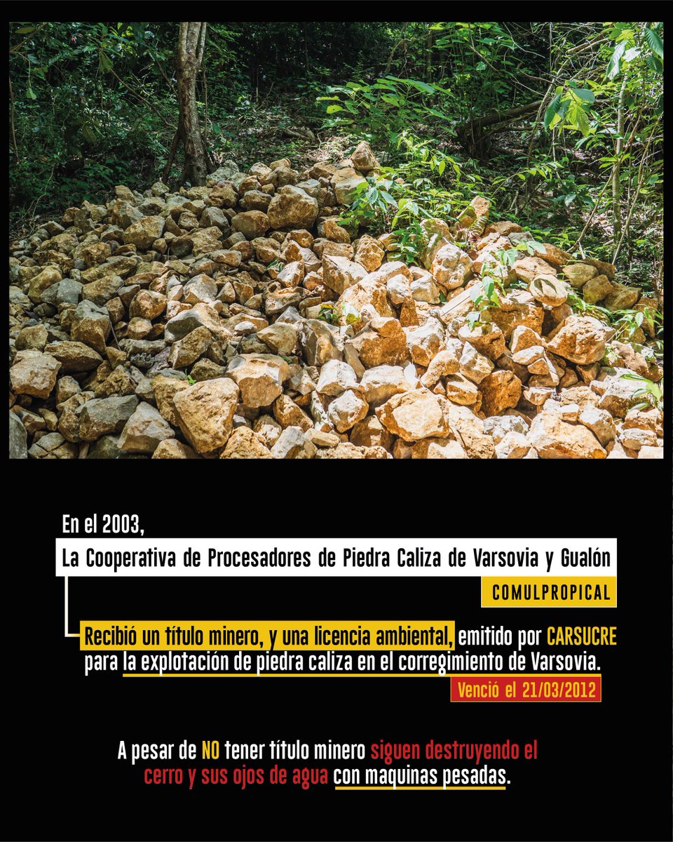 Human Conet tweet media