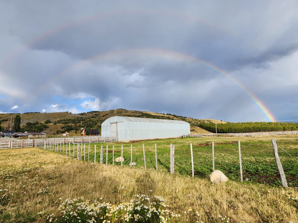 INTAPatagoniaSur tweet media