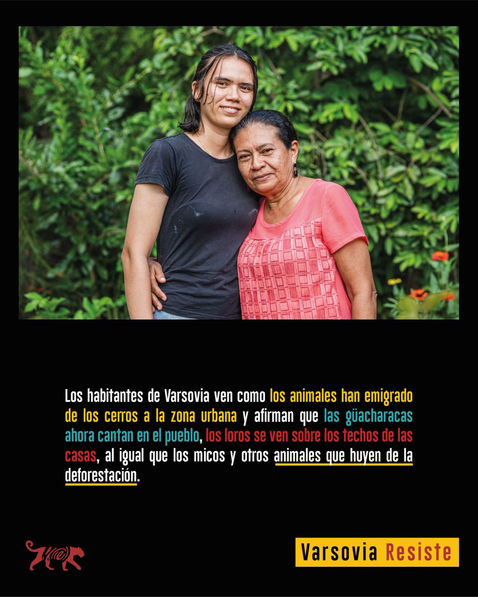 Human Conet tweet media