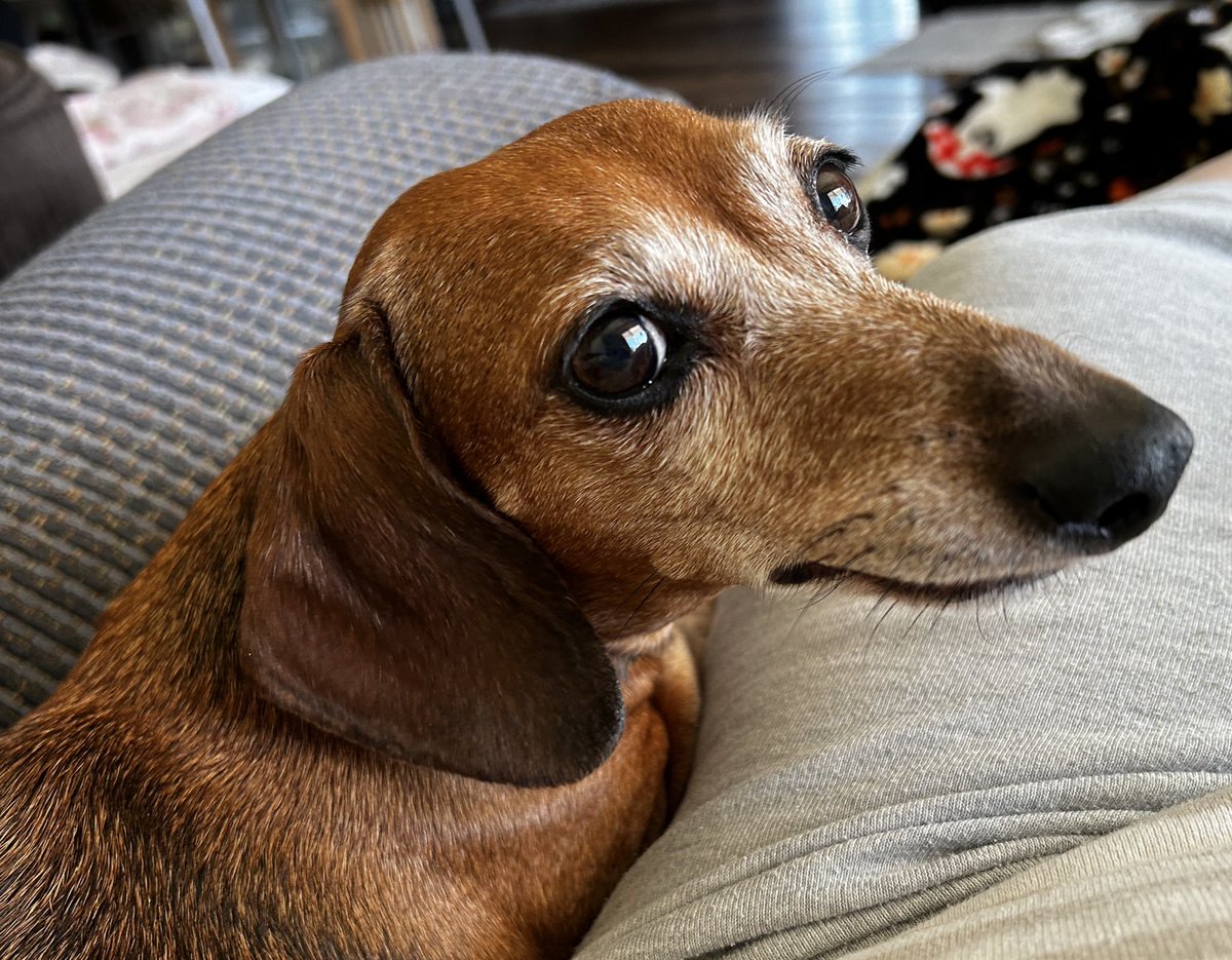 RaiSin🍇CoCo🍫 tweet media