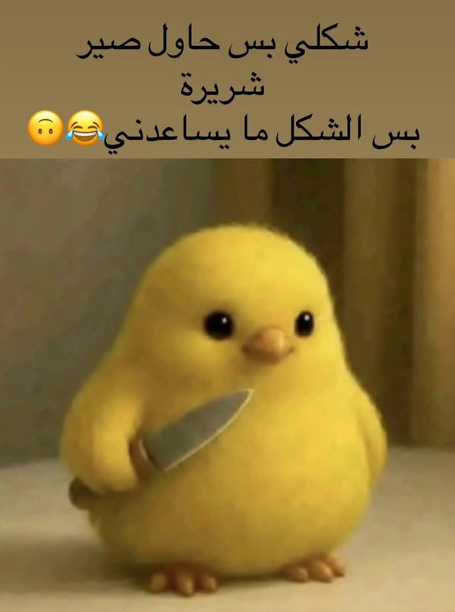 تناهيد🇾🇪منسيةفرز_نشط tweet media