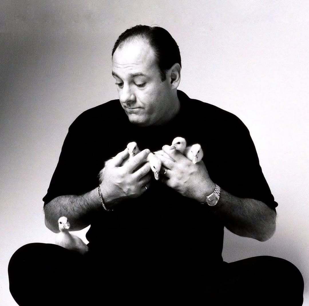 culture jpeg tweet media