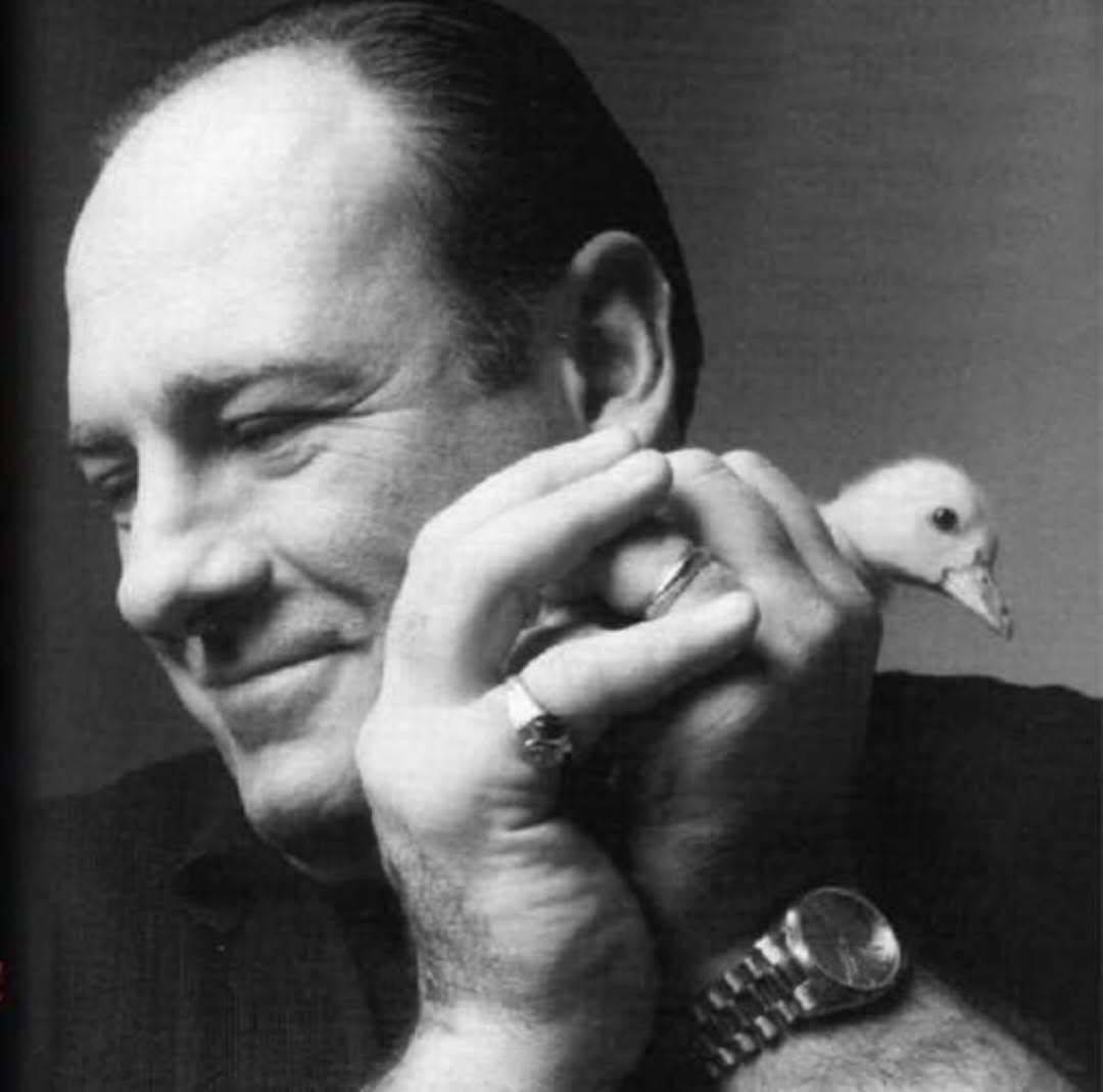 culture jpeg tweet media