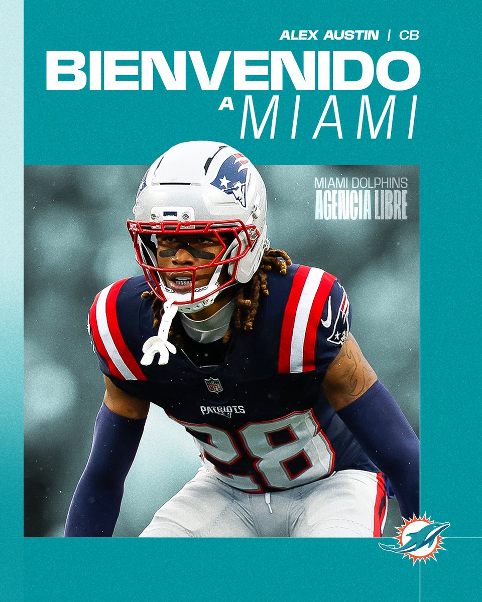 Dolphins en Español tweet media