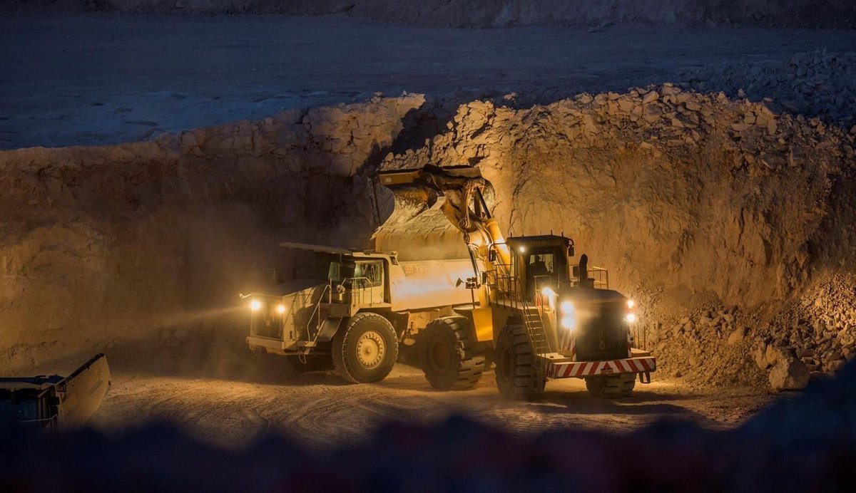 في السعودية tweet media