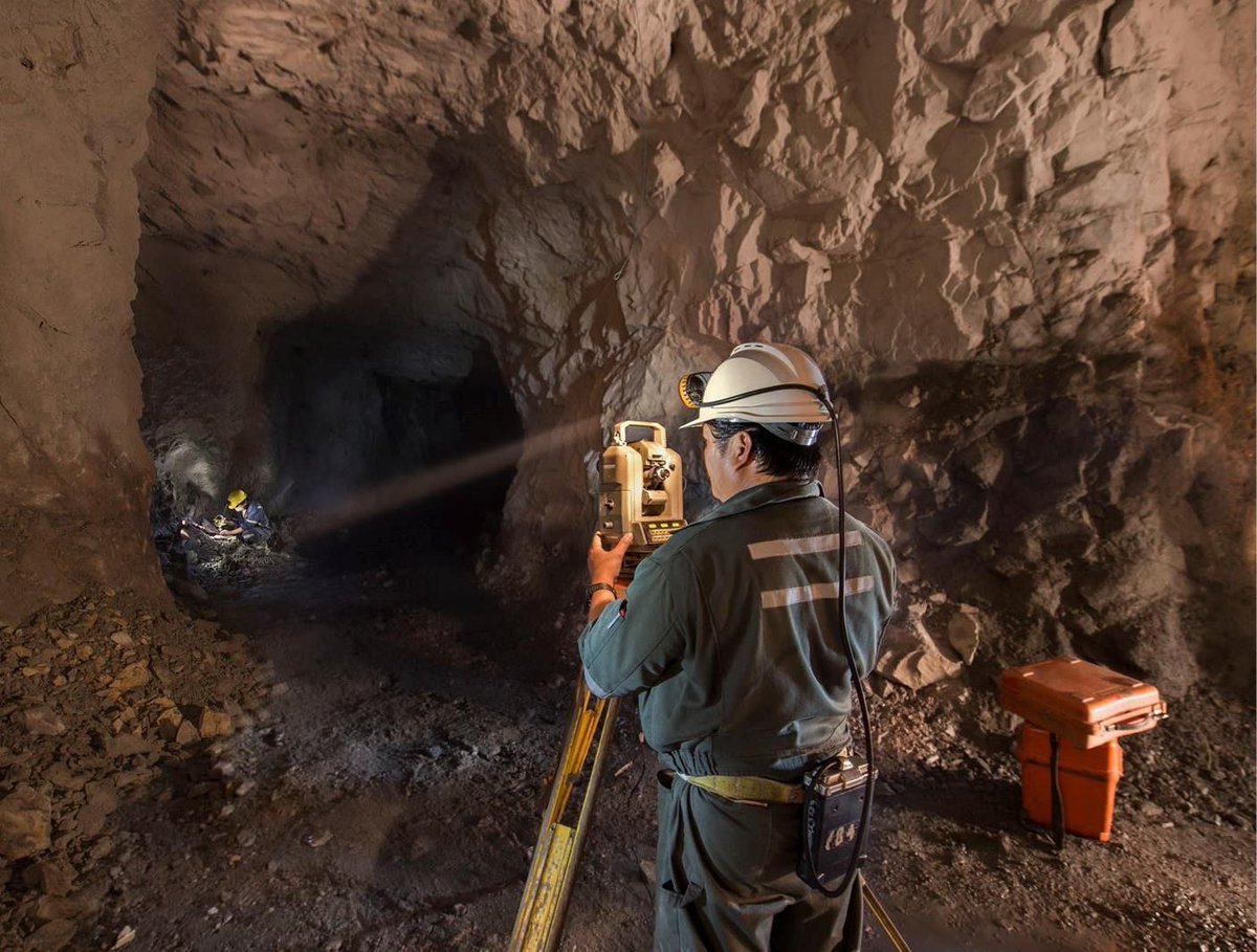 في السعودية tweet media