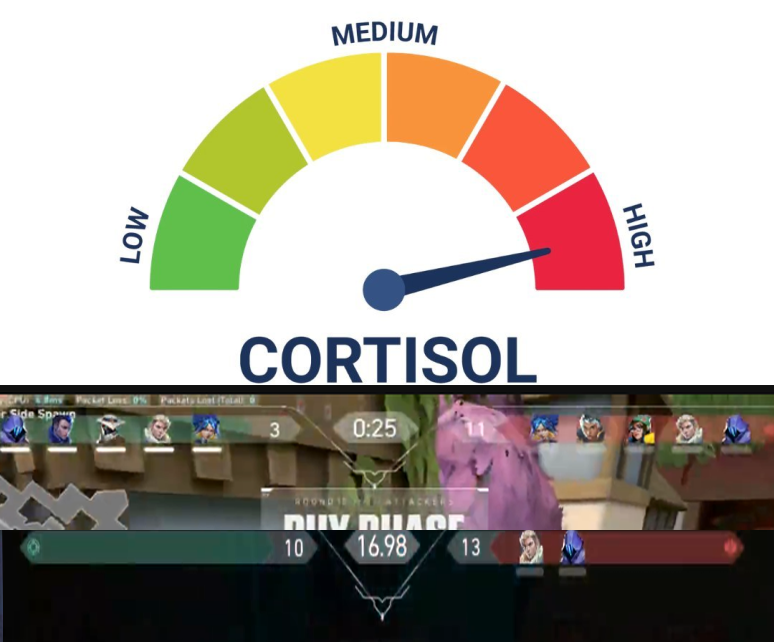 T2G Esports tweet media