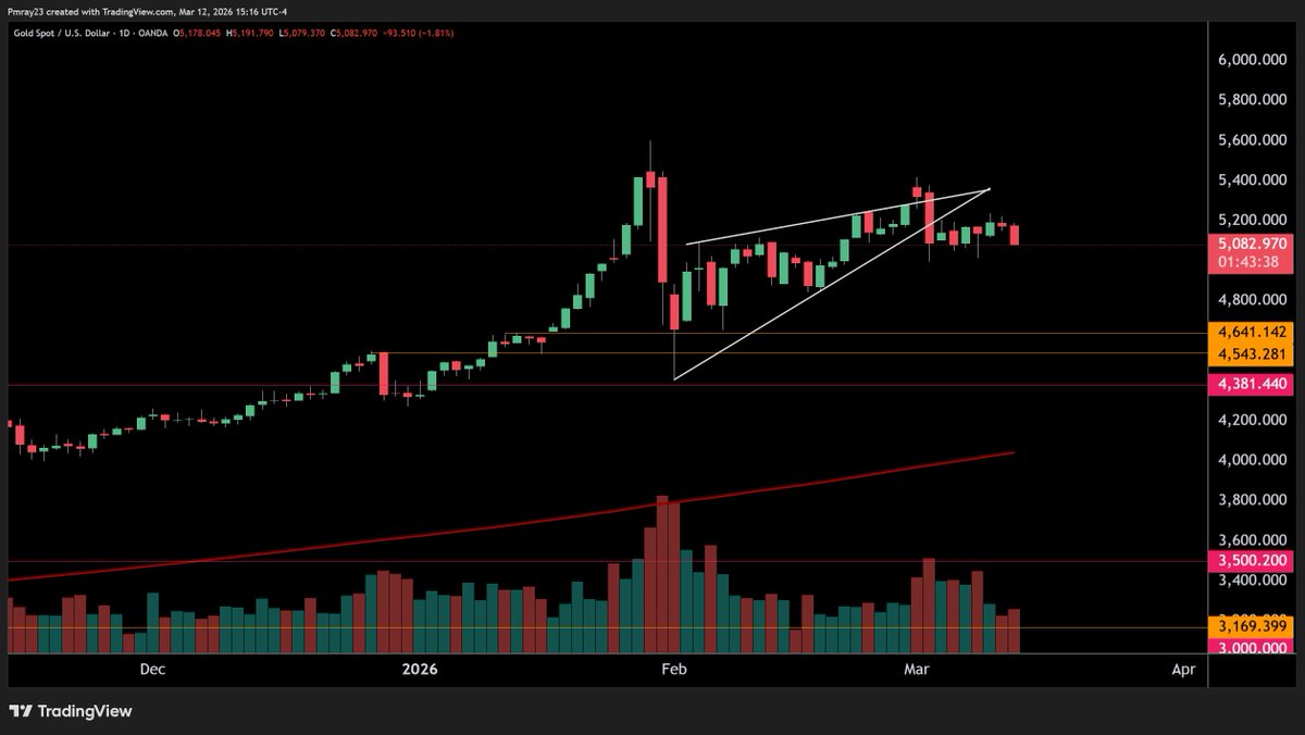 Mitch Ray tweet media