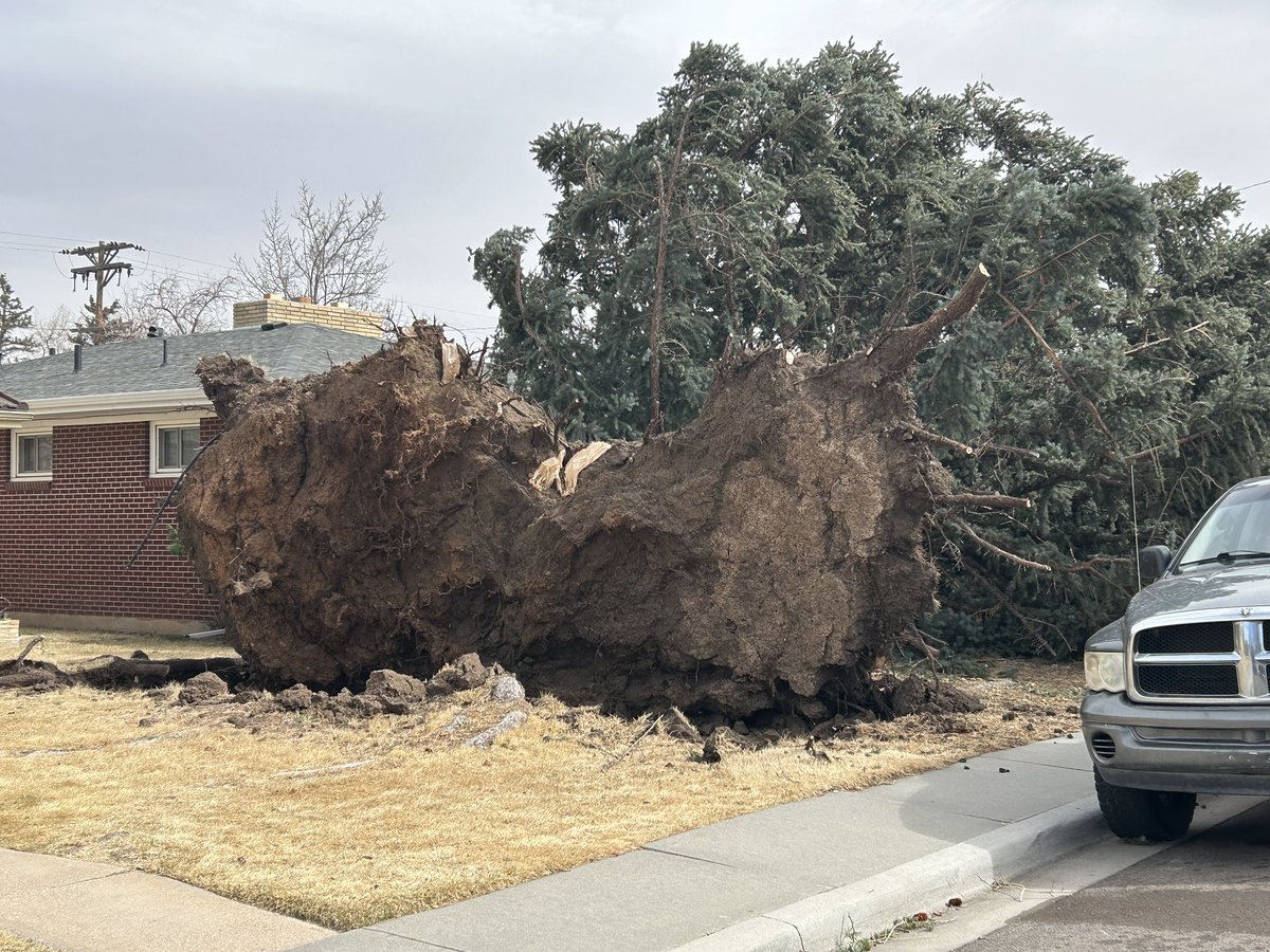 DayWeather tweet media