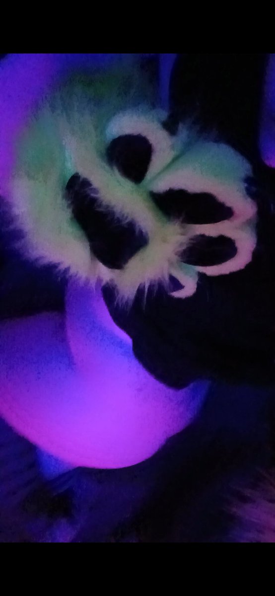 hypnos1ut's tweet photo. Early furry Friday pic :3 who likes paws??? https://t.co/TMGmITGC6M