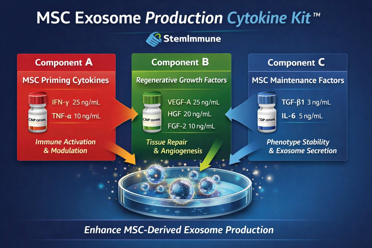 stemimmune's tweet photo. 🚀 Coming Soon: MSC Exosome Production Cytokine Kit™

At StemImmune LLC, we are excited to introduce our upcoming MSC Exosome Production Cytokine Kit™, designed to support standardized MSC priming and enhanced exosome production. https://t.co/IpDRhfxxal