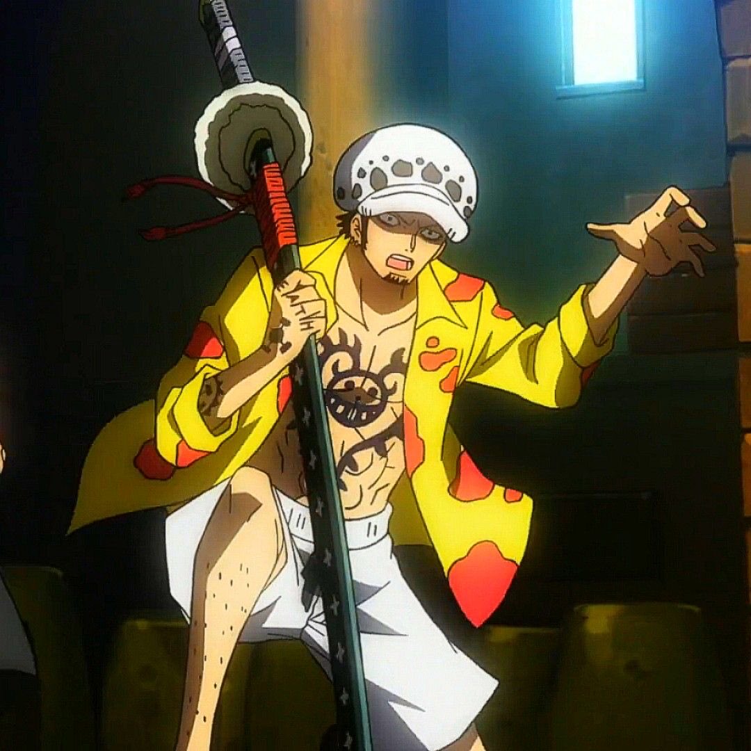 Daily Trafalgar Law tweet media