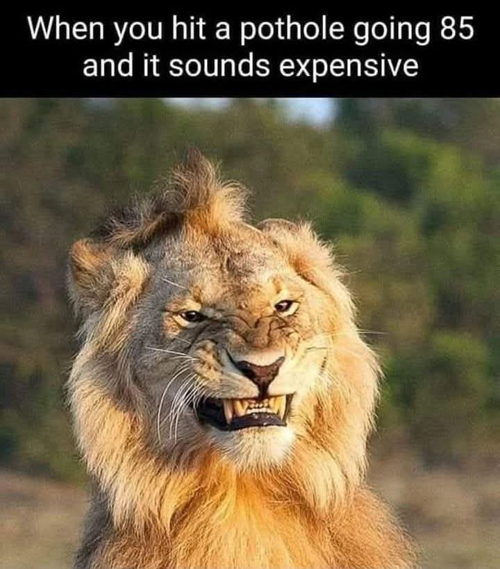 Barney Simon tweet media