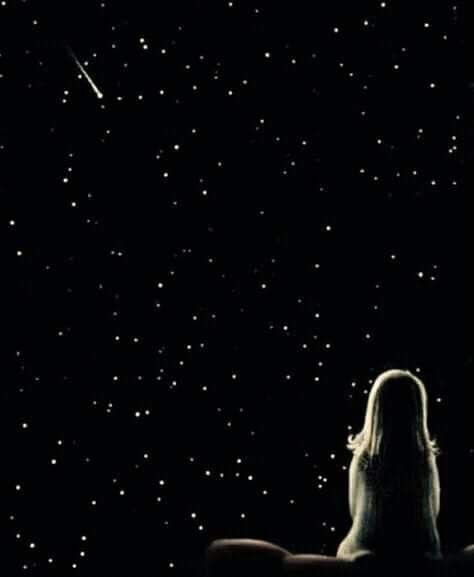 maria segura tweet media