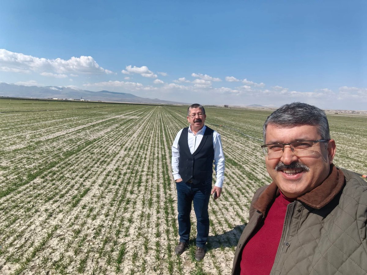 krpzrd's tweet photo. Bugün Odamızda Teknik Danışmanımız Prof.Dr.Süleyman Soylu ile gerçekleştirdiğimiz tarımsal bilgilendirme canlı yayını sonrası,  Başkanımız  Durmuş Üner ve Teknik Danışmanımız Prof.Dr.Süleyman Soylu ile birlikte hububat ekim alanlarındaki bitki gelişimlerini inceledik. https://t.co/va3qqdZWJy