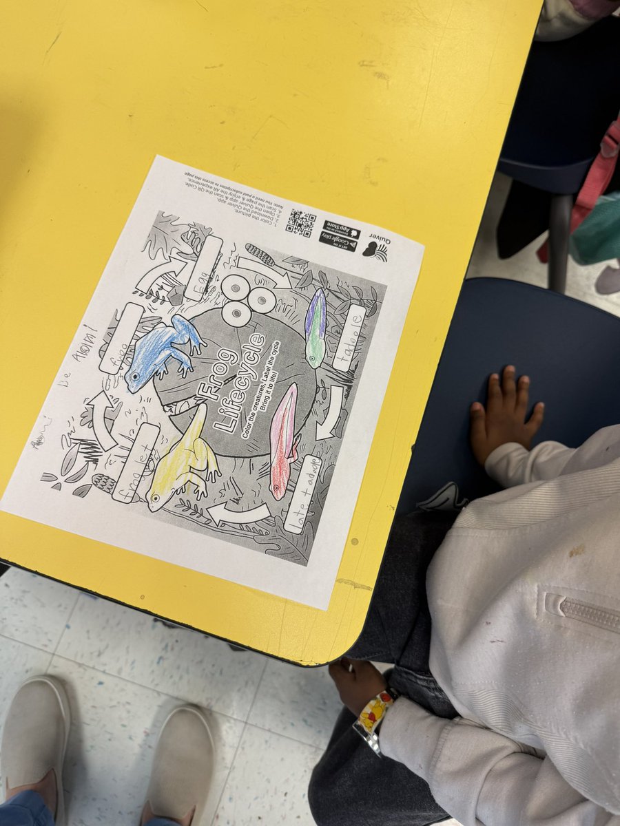 Allyson Hartung, NBCT tweet media