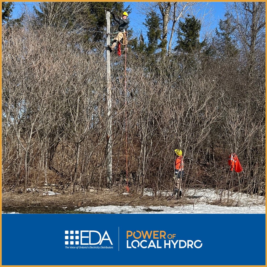 Electricity Distributors Association (EDA) tweet media