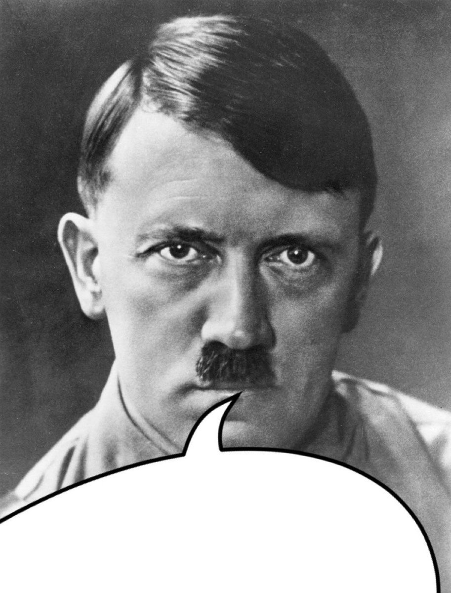 Sensitive Young Fascist (@schizoretard18) on Twitter photo 