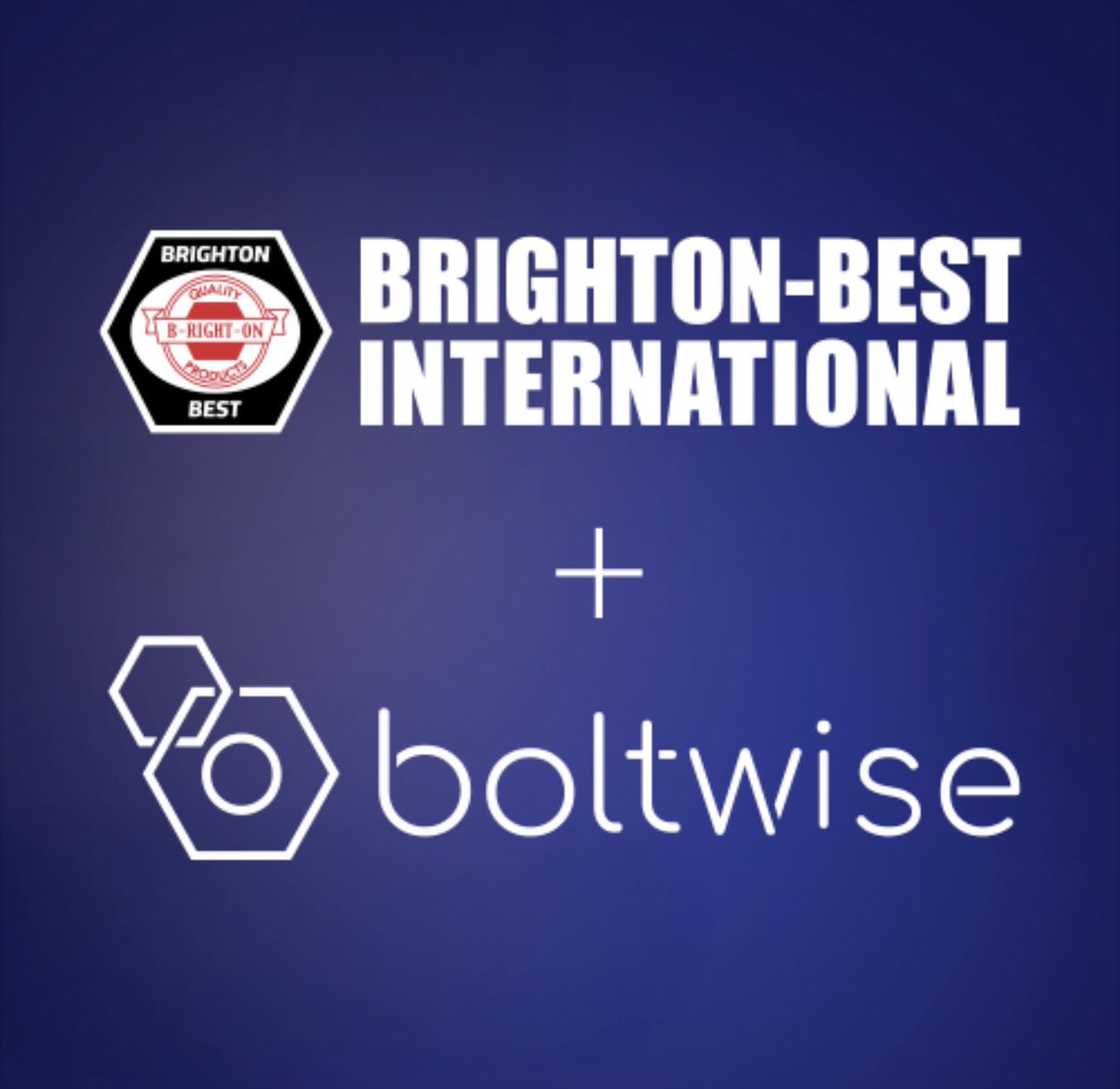 Brighton Best (USA) tweet media