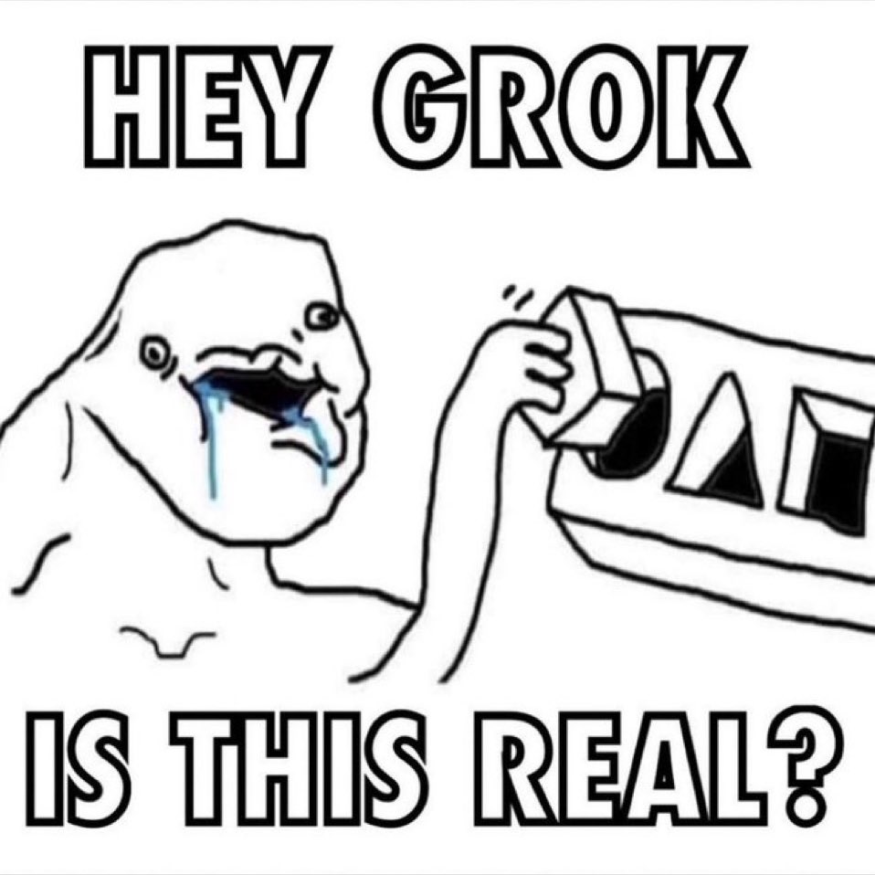 ir1jy's tweet photo. @memechaotic @grok https://t.co/TiqHO1giMm