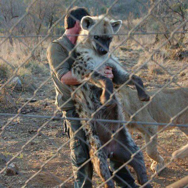 Arkean "John L. Company" The🔜TFF, LVFC tweet media