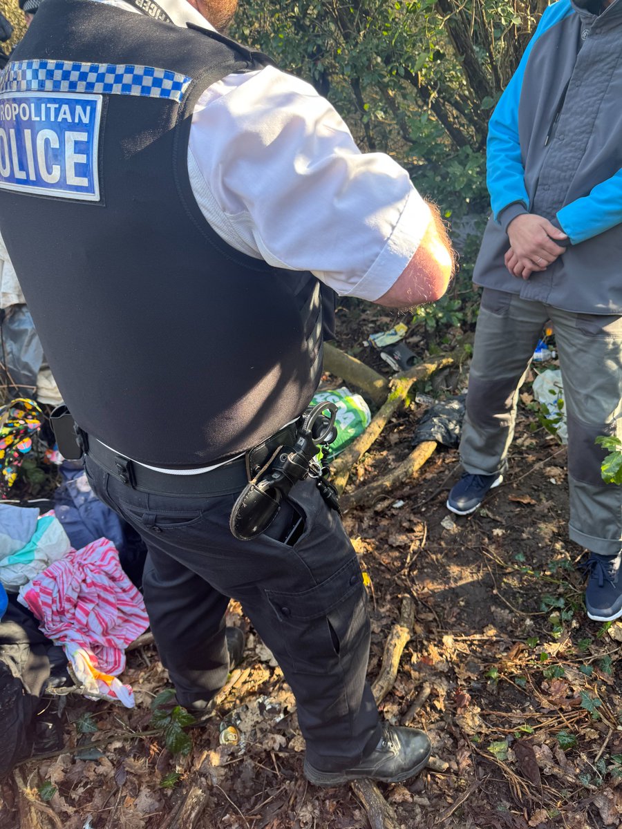 Hayes Town SNT tweet media