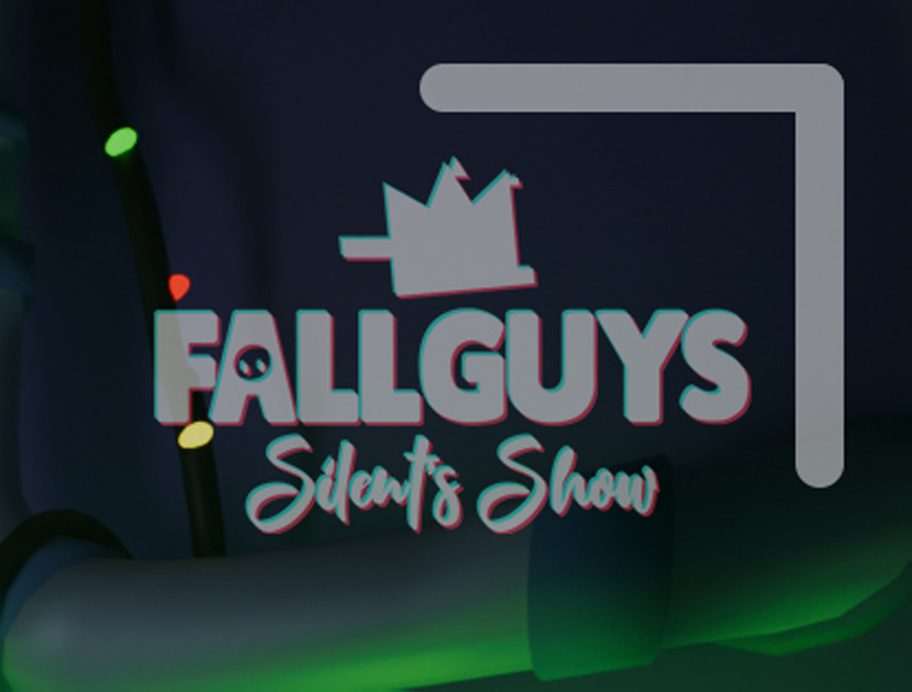 Fall Guys: Silent's Show 🎤 tweet media