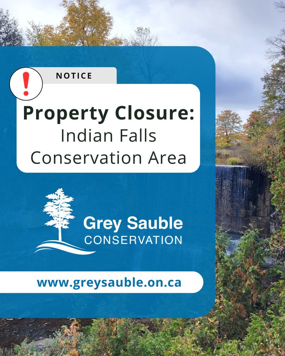 Grey Sauble CA tweet media