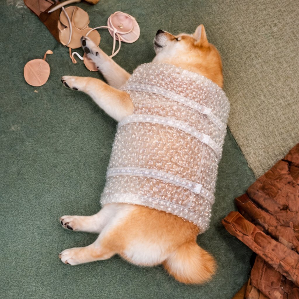 Wrapped Inu (@wrapedinu) / Posts / X