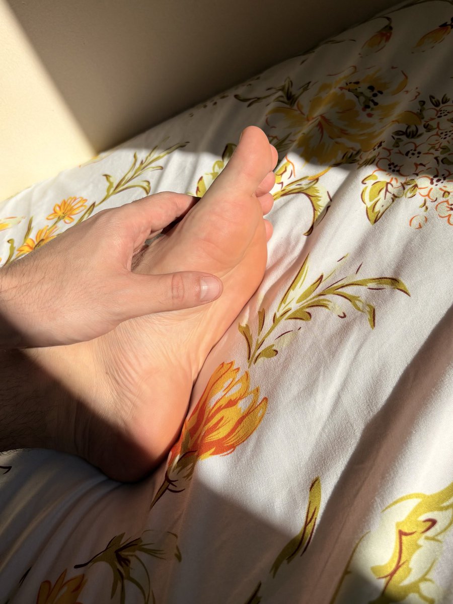 Luis Fernando tweet media