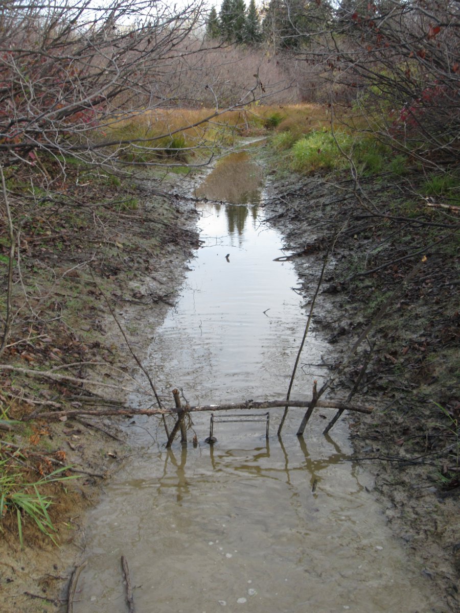 The Trapper tweet media