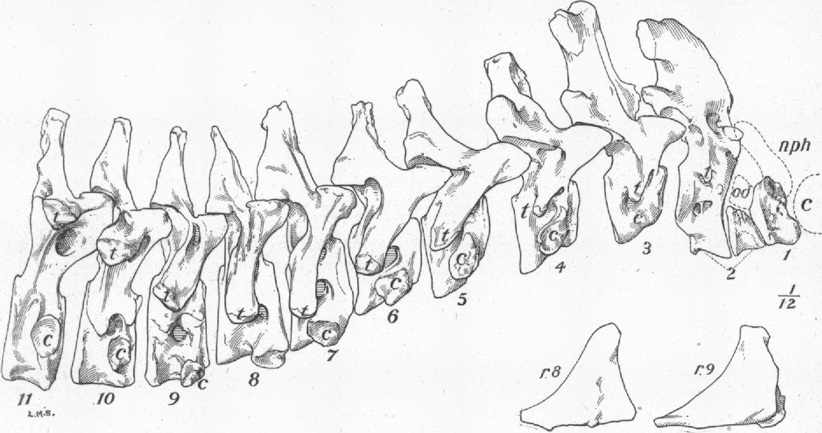 原島広至【公式】 tweet media