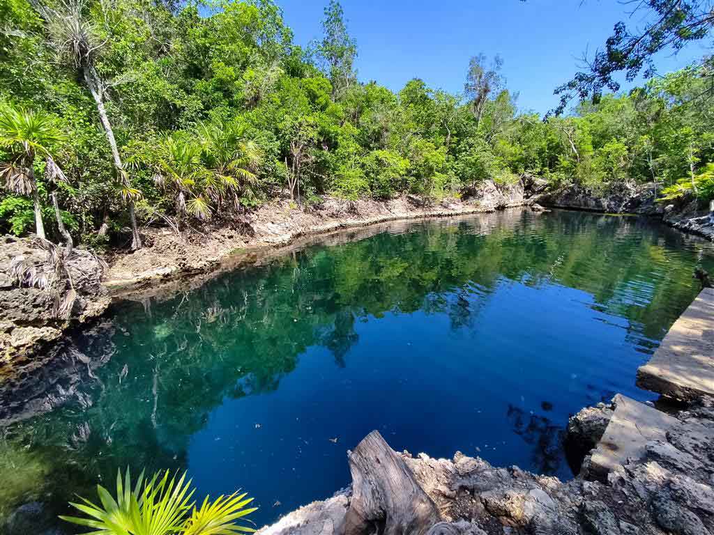 LaCubaTuristica's tweet photo. 🟢 Turnat 2026 se prepara para celebrar su 15ª edición del 7 al 14 de septiembre, consolidándose como la cita más importante del turismo de naturaleza en Cuba 🇨🇺 y un punto de encuentro para los profesionales del sector a nivel mundial. 
📍Mayabeque y Matanzas https://t.co/c2p4gV6ebI