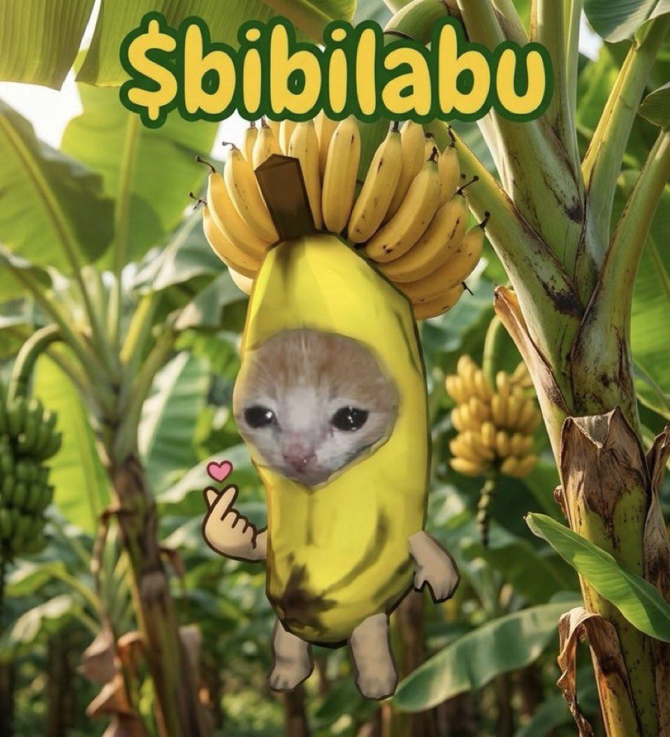lets raid bibilabu tweet media