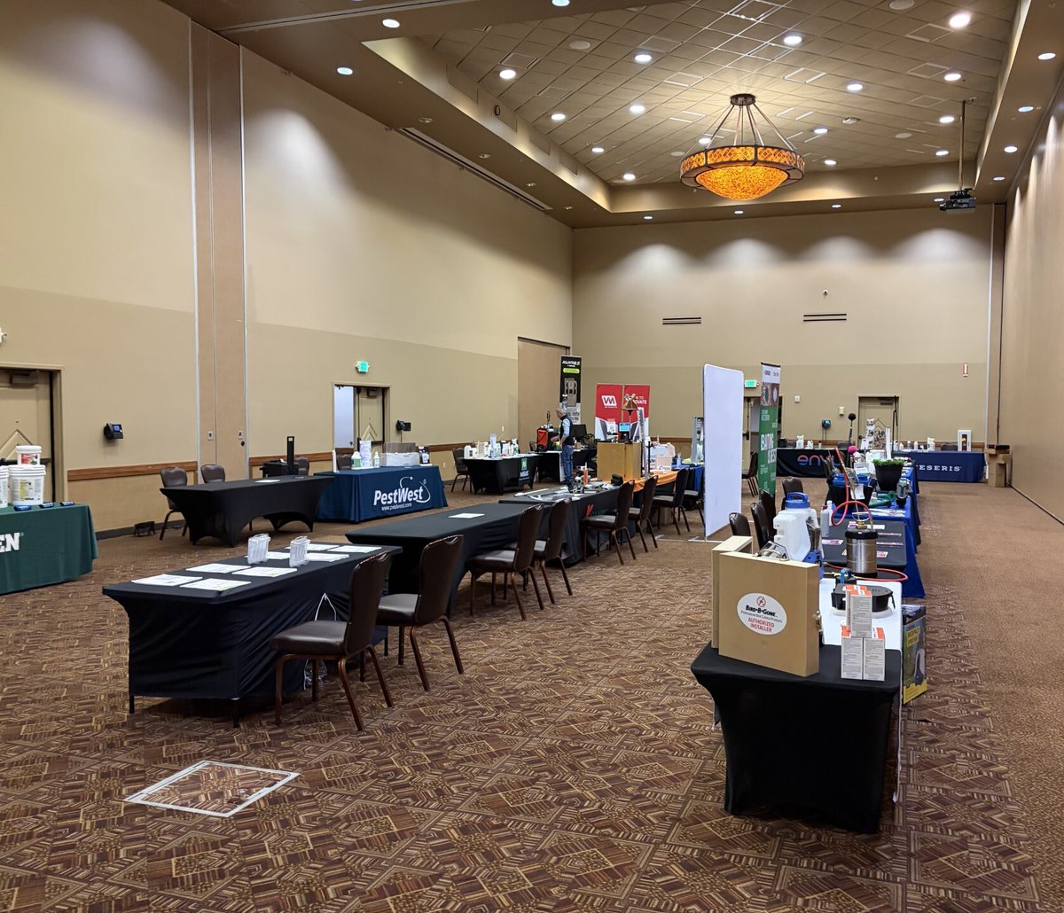 Insects Limited, Inc tweet media