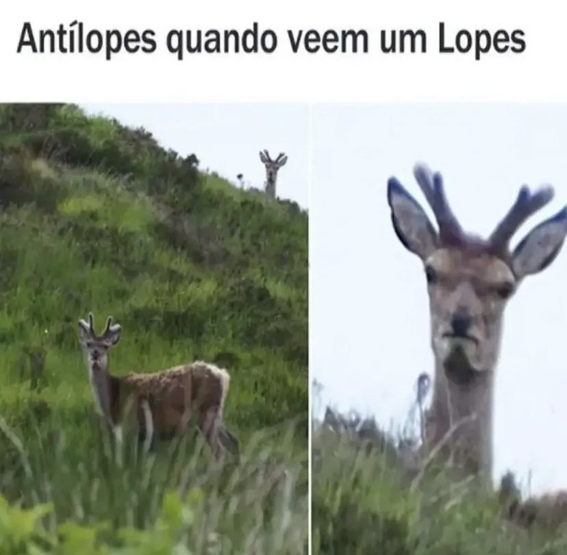 memes inteligentes (@memeinteligente) on Twitter photo 