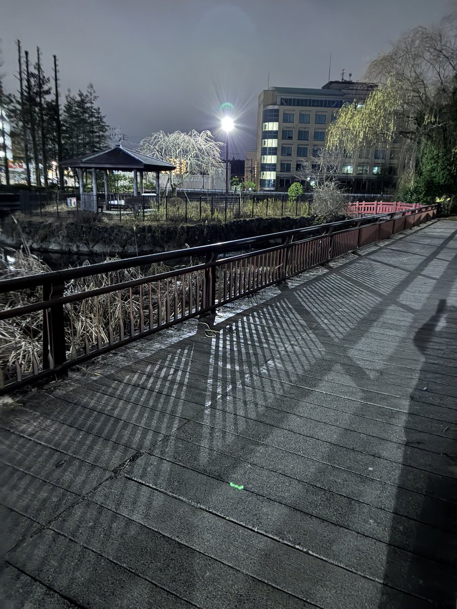 くまのよしひろ tweet media