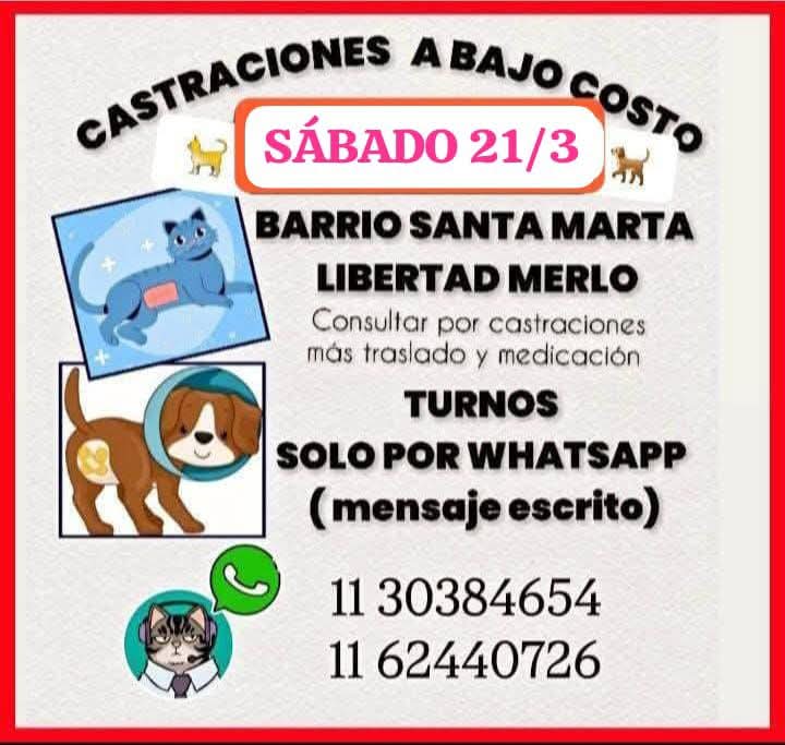 Laly 🇦🇷 tweet media