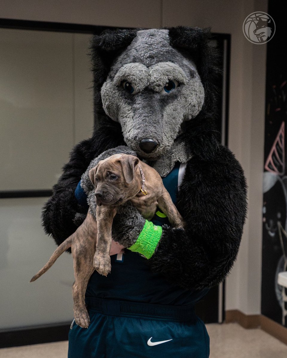 Iowa Wolves tweet media