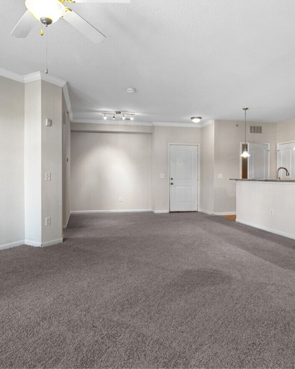 TapestryParkVA's tweet image. A living room designed for relaxing, entertaining, and everything in between! ✨🛋️ #apartmentliving #modernliving #homeinspo #apartmentlife