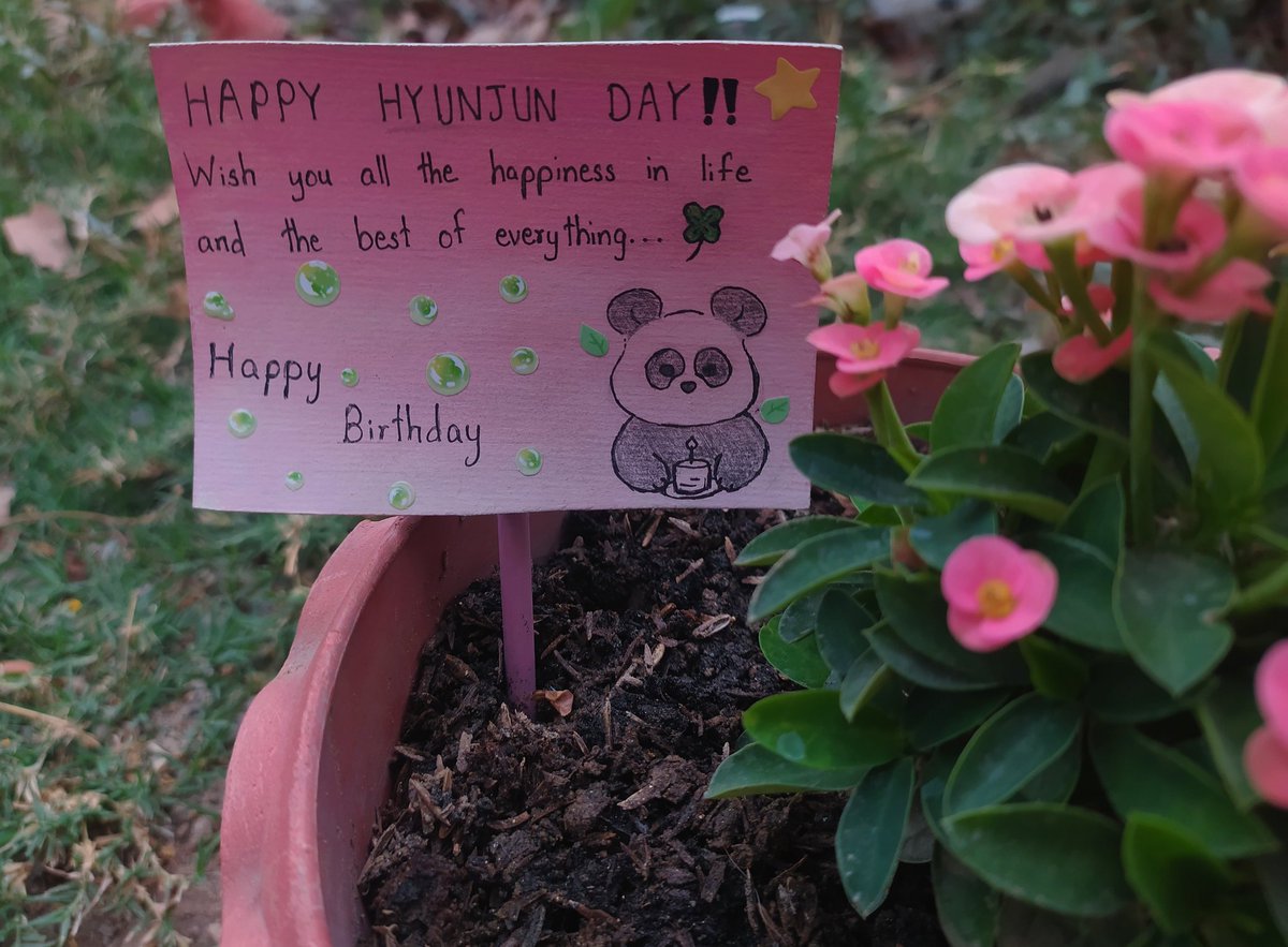 thinsandiii's tweet photo. 사랑해 준아 
This is the plant I bought for you~

#HyunjunShiningAt17
#HappyPandaDay
#현준이와함께
#JUNGHYUNJUN
#정현준 https://t.co/LpsK6dZl01