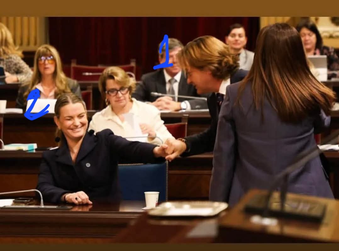 RAFEL PERELLÓ tweet media